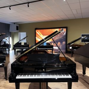 Steinway & Sons Concert vleugel  Model D 274