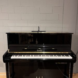 George Steck Silent piano US 22 TD-SL