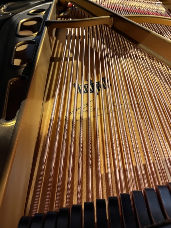 Bösendorfer vleugel 170 - Afbeelding 2