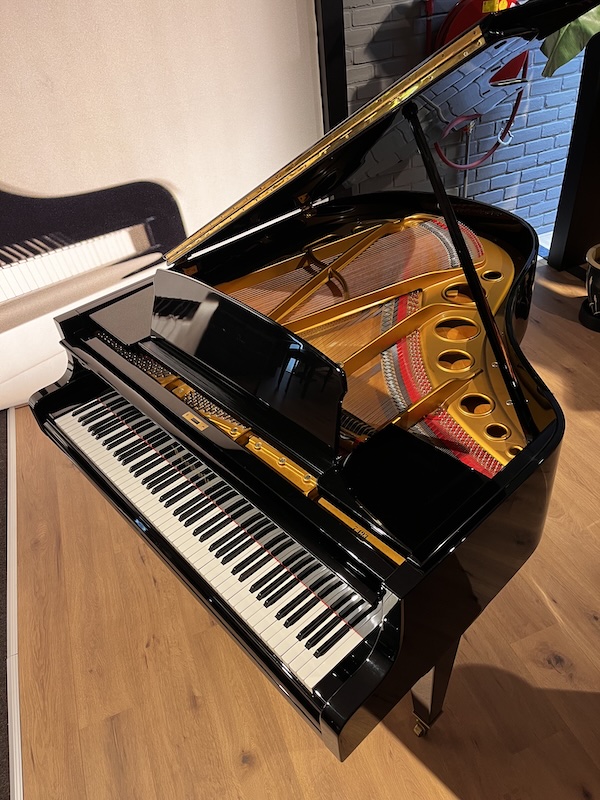 Bösendorfer vleugel 170 - Afbeelding 4