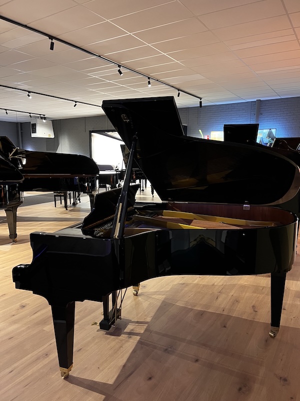 Schimmel vleugel SP174 - Afbeelding 2