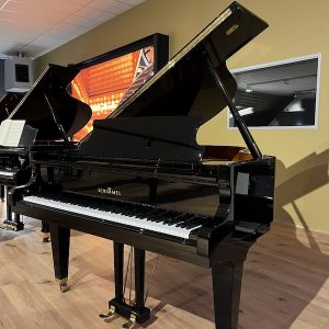 Schimmel vleugel SP174