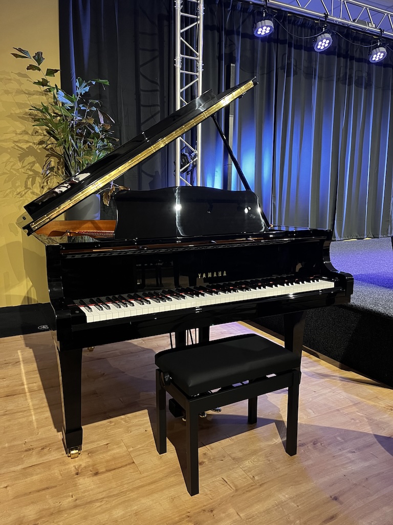 Yamaha C2 L vleugel